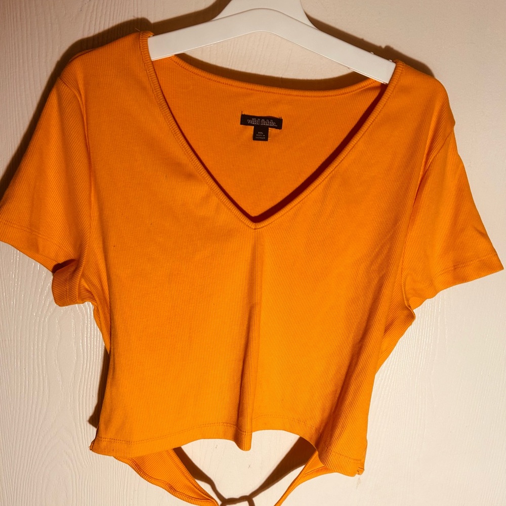 Wild Fable Orange V-Neck Crop Top